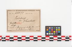 Etiketten zu Bronzephalere (NHMW-PRAE-025077)